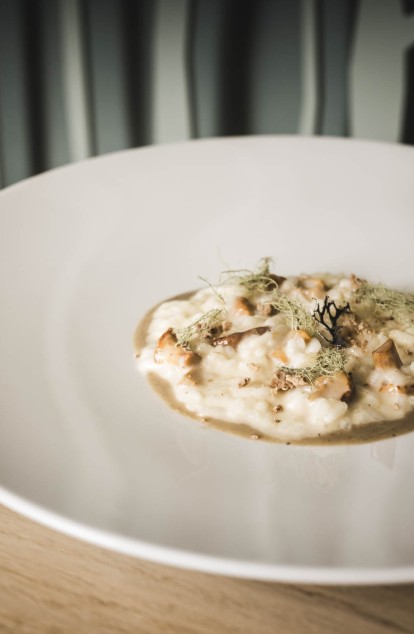 Schön präsentiertes Gericht im Artifex