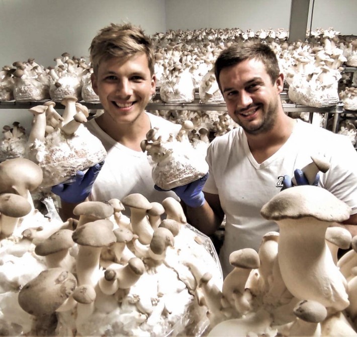 Edelpilzzucht in Südtirol